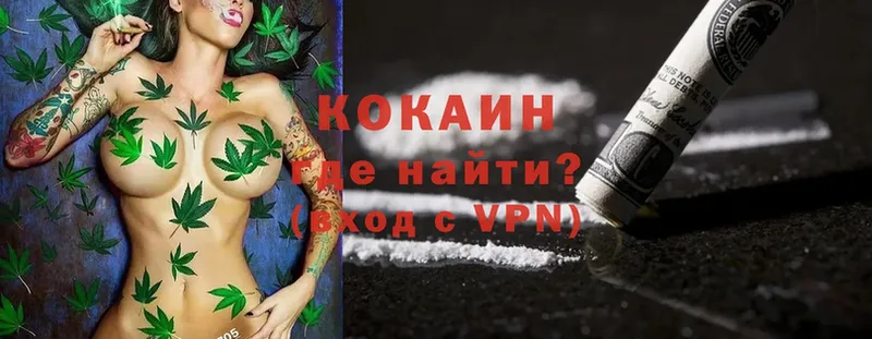 COCAIN FishScale  как найти наркотики  Мичуринск 