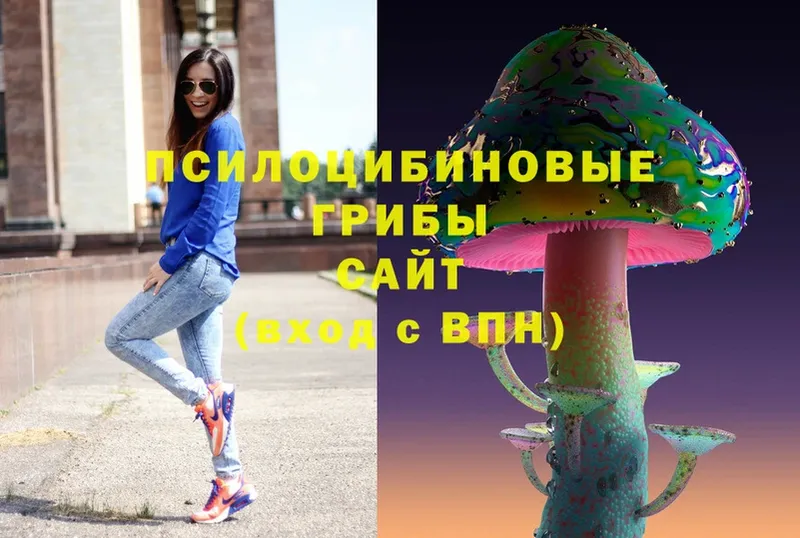 Галлюциногенные грибы Cubensis  Мичуринск 